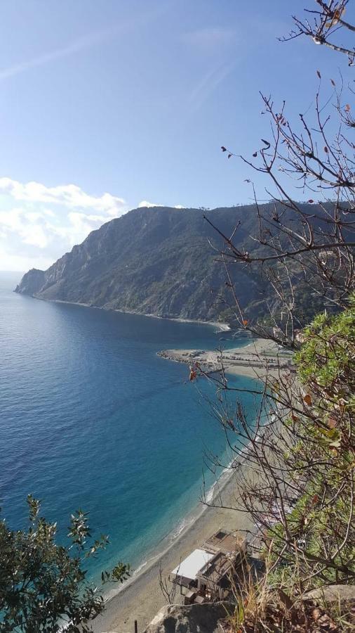 Appartamento Le Conchiglie Monterosso Al Mare Ngoại thất bức ảnh
